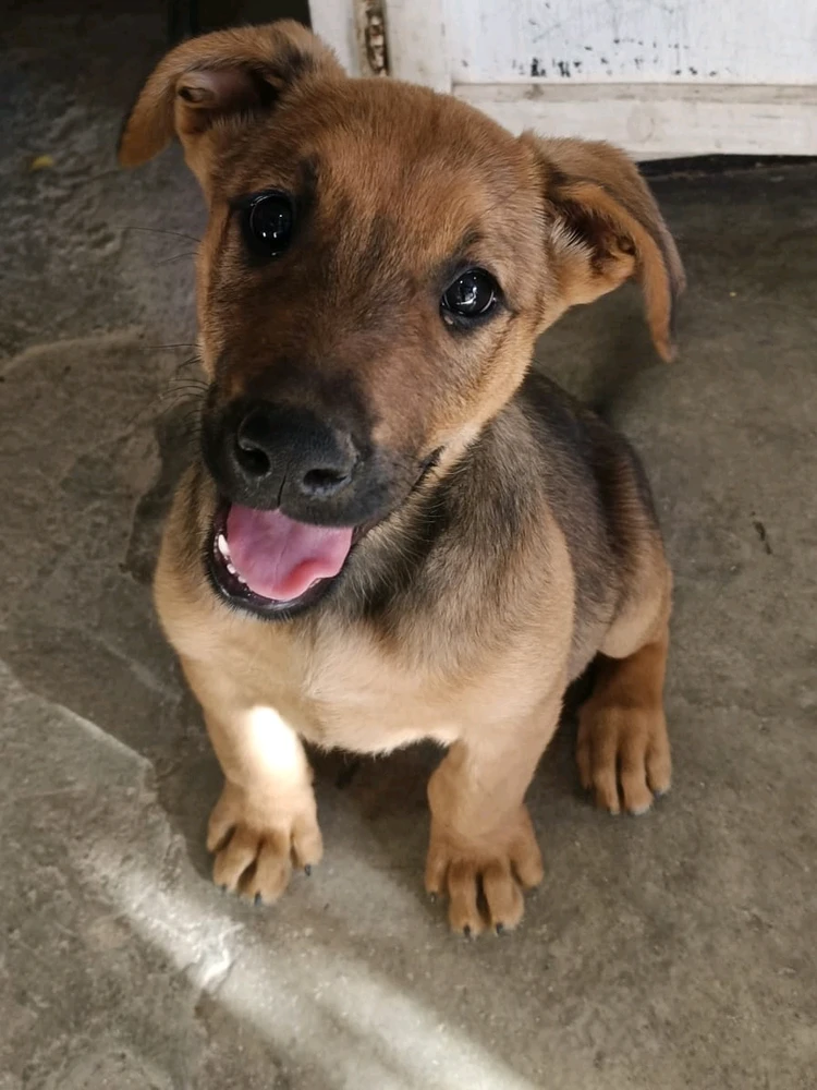 Imagen subida por Maycol