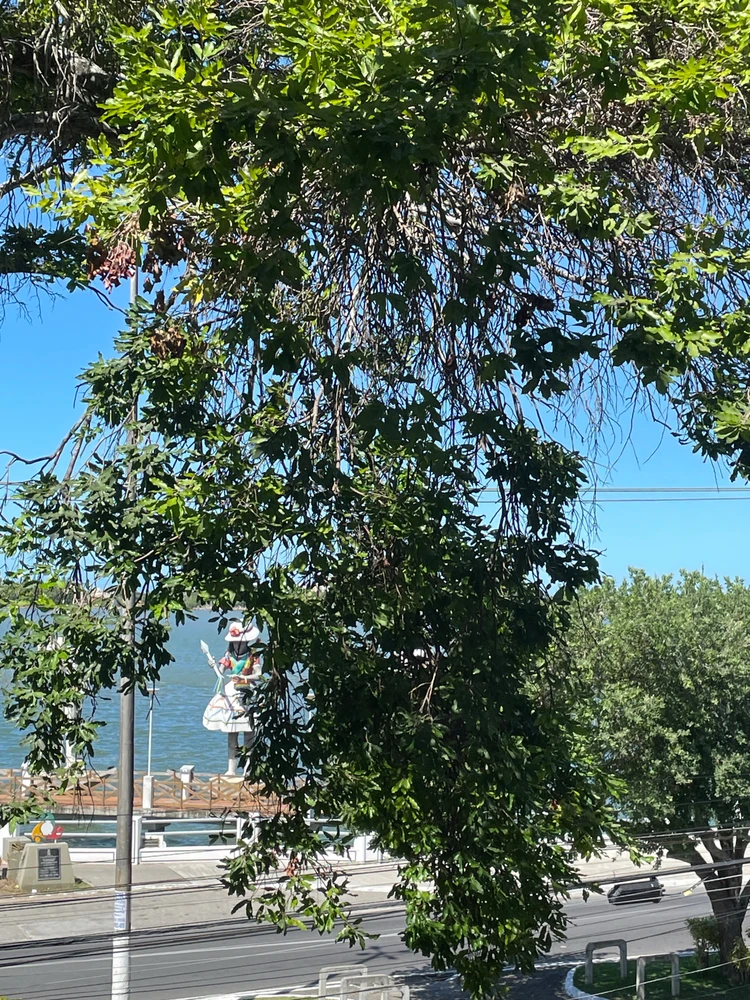 GIF enviado por Seni