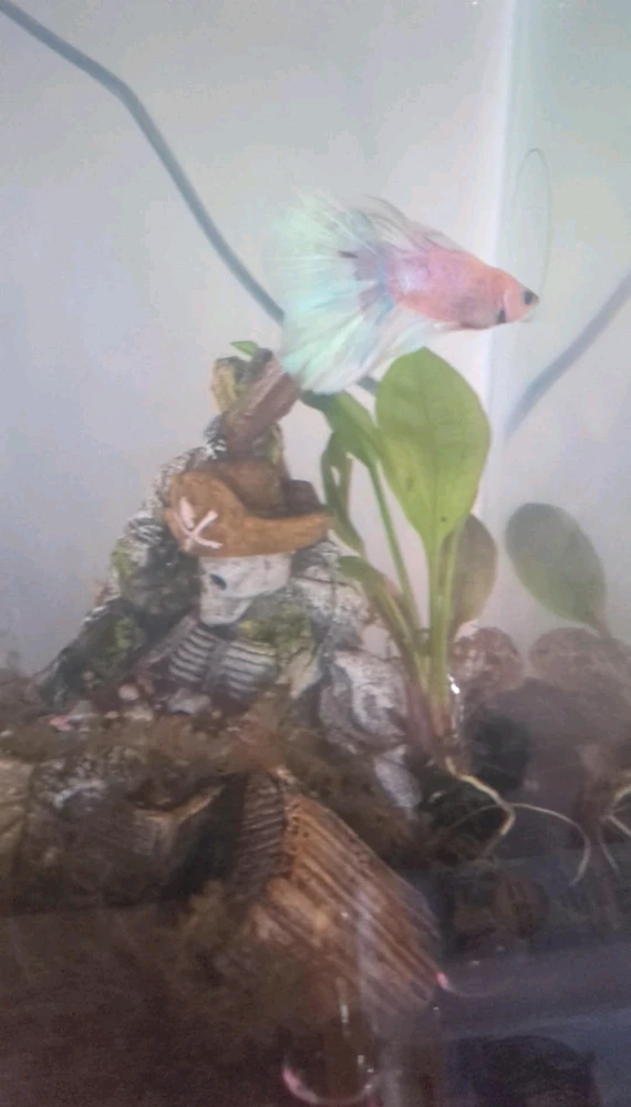 GIF uploaded by Matt