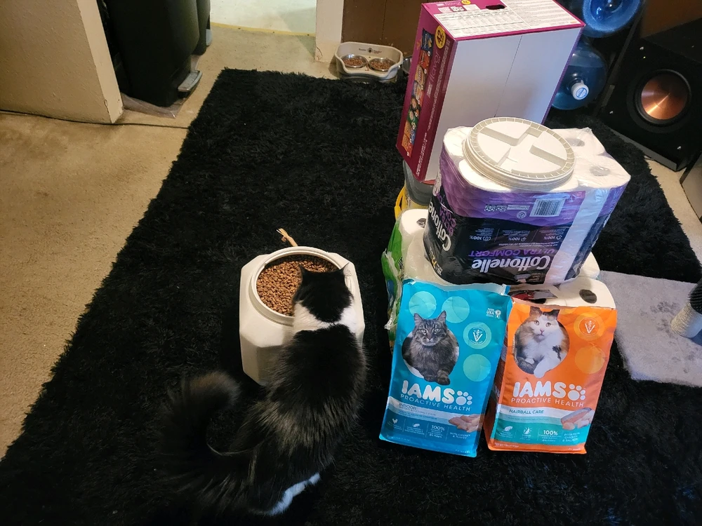 GIF uploaded by Dylan