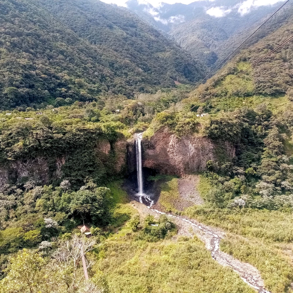 GIF subido por David