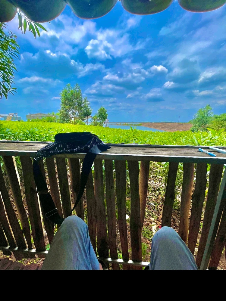 Ảnh do Nguyễn Đức Dương tải lên