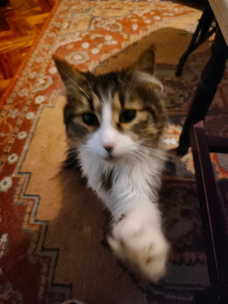 GIF subido por Angel