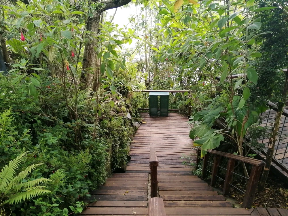 GIF subido por David