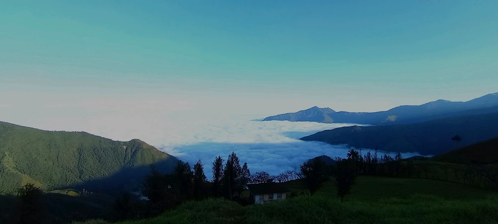 Imagen subida por David