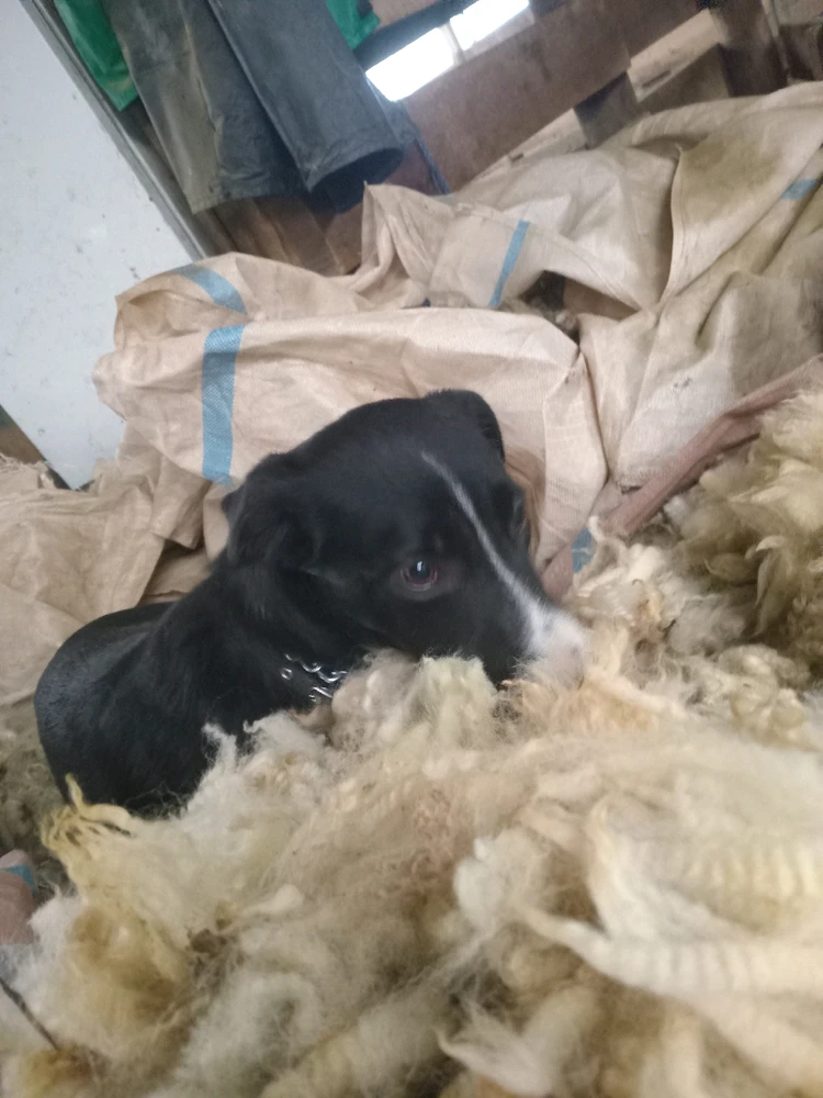 GIF uploaded by James