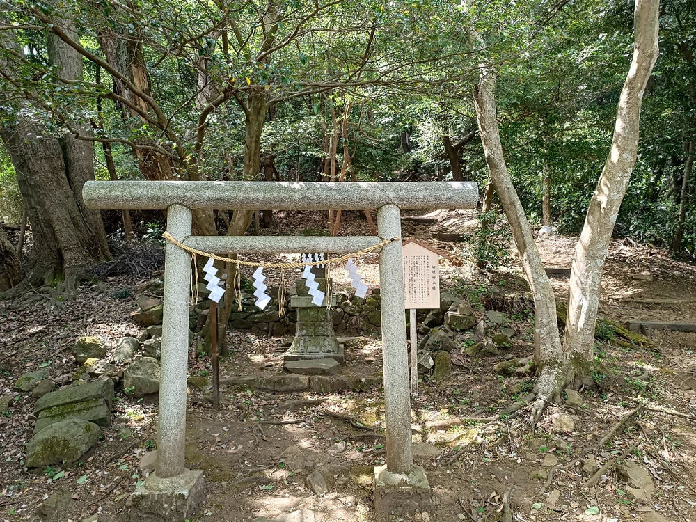 Image uploaded by Carlos カルロス