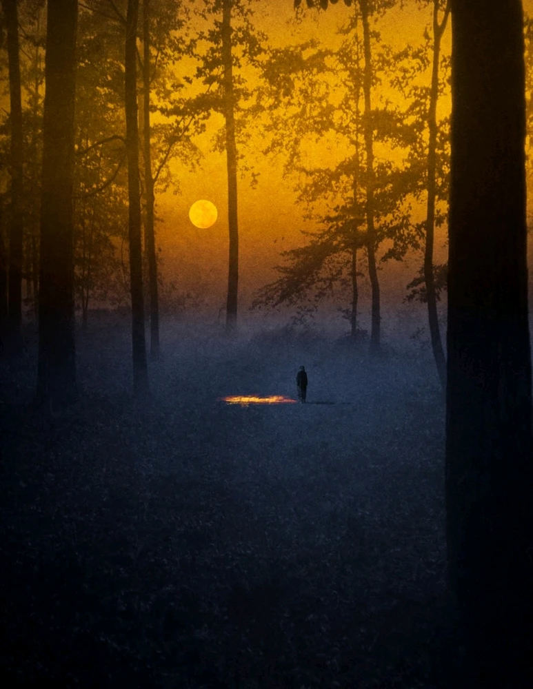 Гіфку завантажив Євгенія