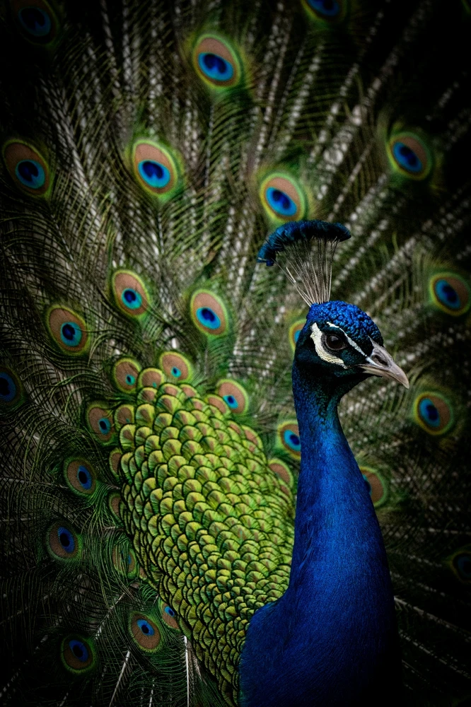 GIF uploaded by Sachil