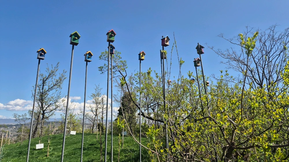 Image uploaded by Lena the Fox