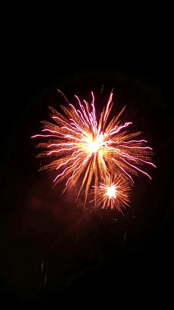 Εικόνα από Σήλια