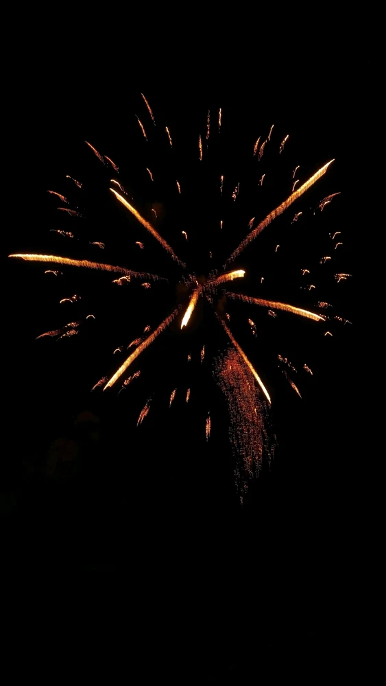 Εικόνα από Σήλια