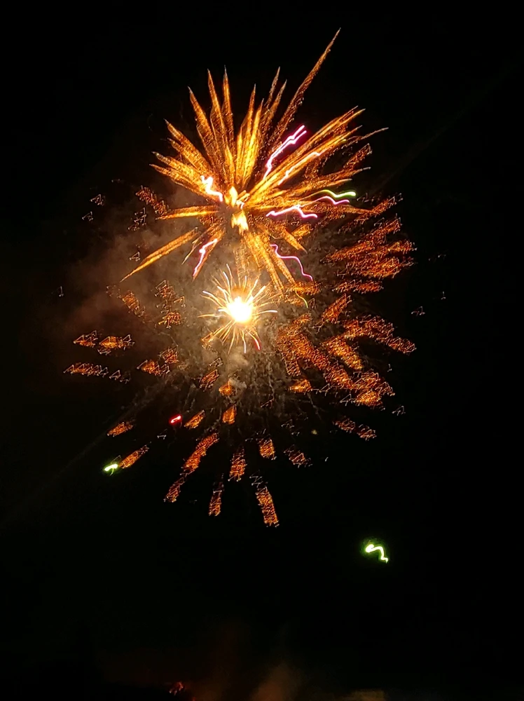 Εικόνα από Σήλια