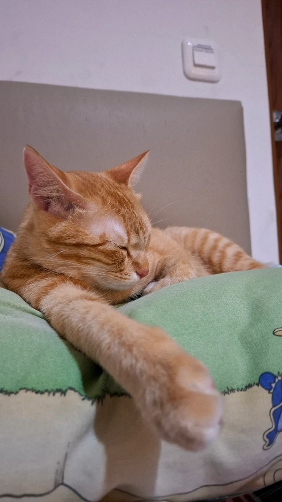 Image uploaded by Grace Safenla