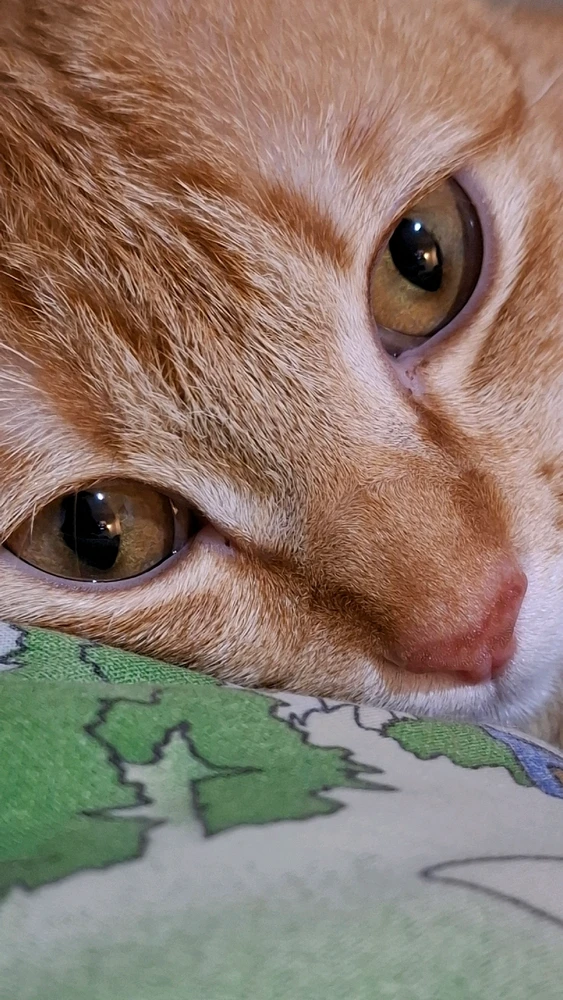 Image uploaded by Grace Safenla