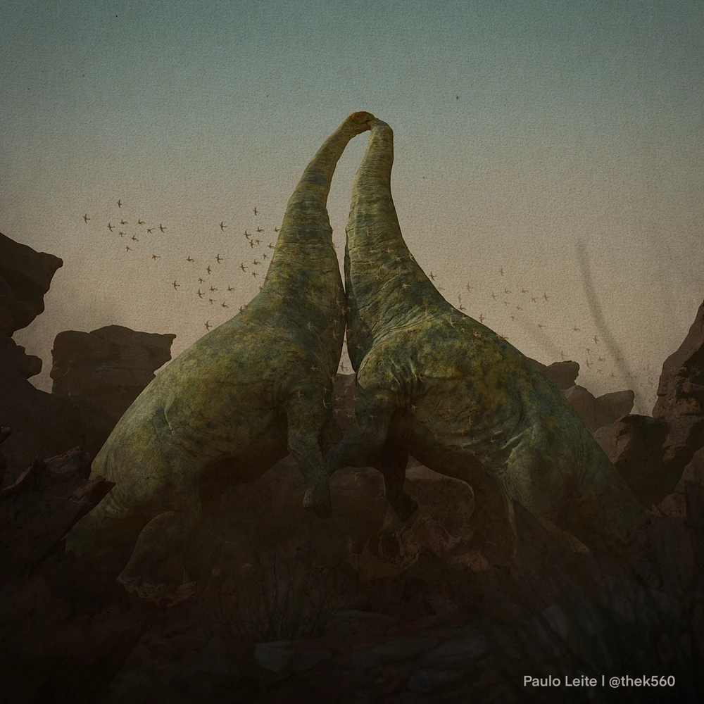 Image uploaded by Paulo