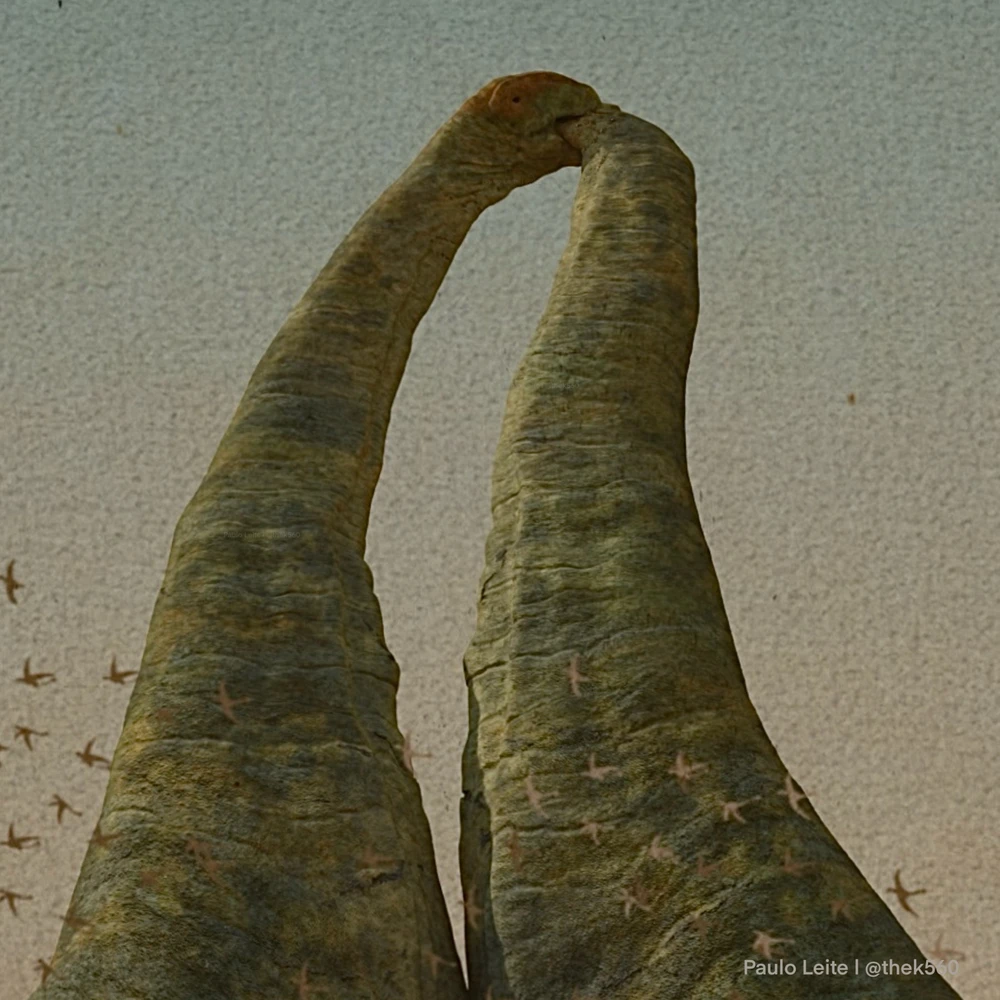 Image uploaded by Paulo