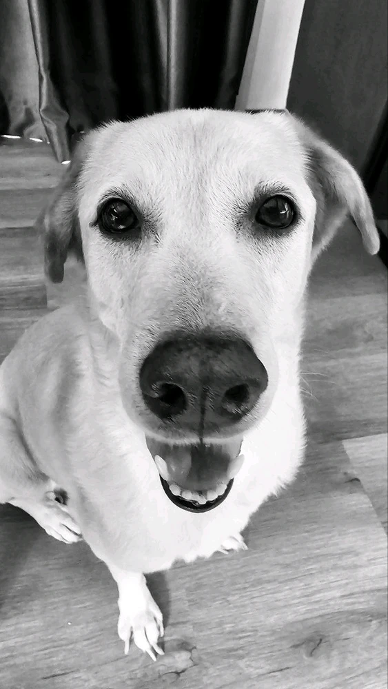 GIF uploaded by 𝕾𝖙𝖊𝖕𝖍𝖊𝖓𝖎𝖊