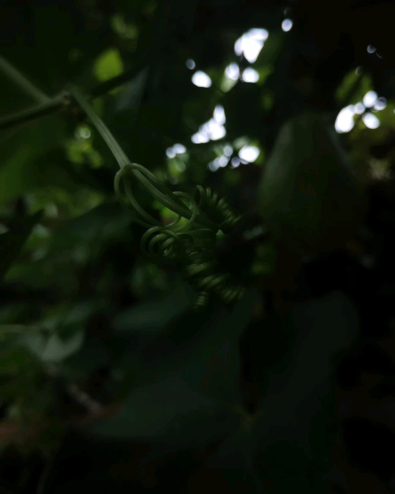 Image uploaded by Ursix