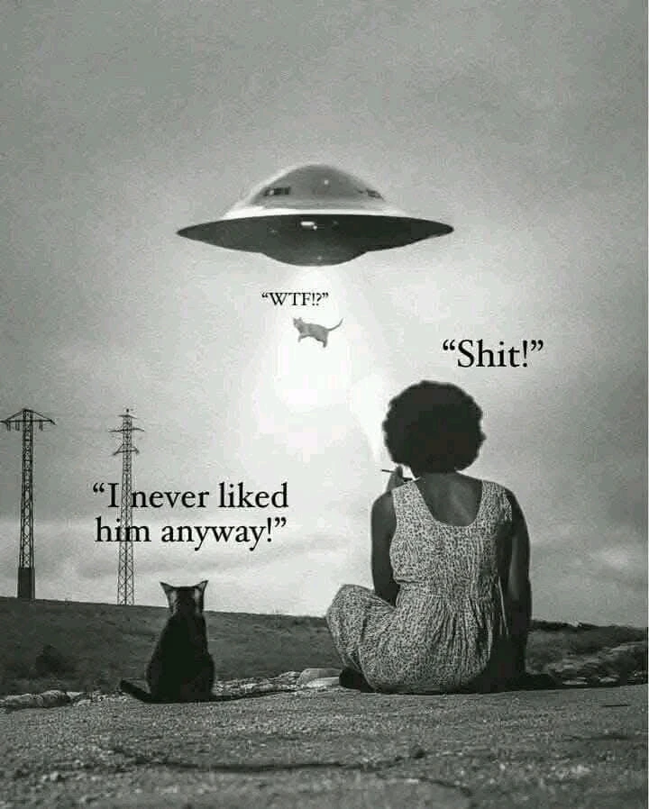 GIF hochgeladen von Doris