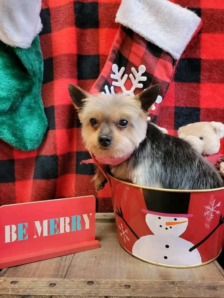 DylanがアップロードしたGIF