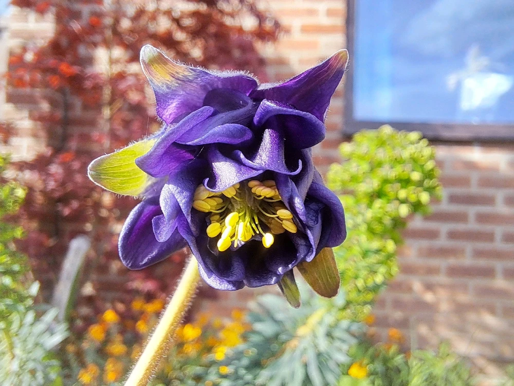 GIF uploaded by JD