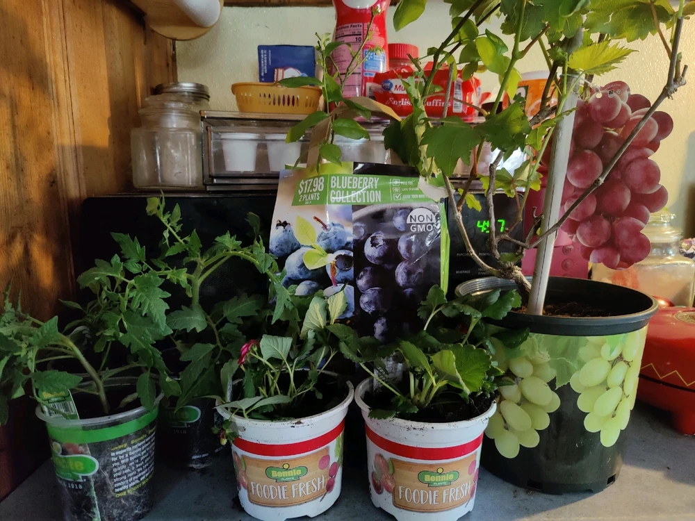 GIF uploaded by Dorian