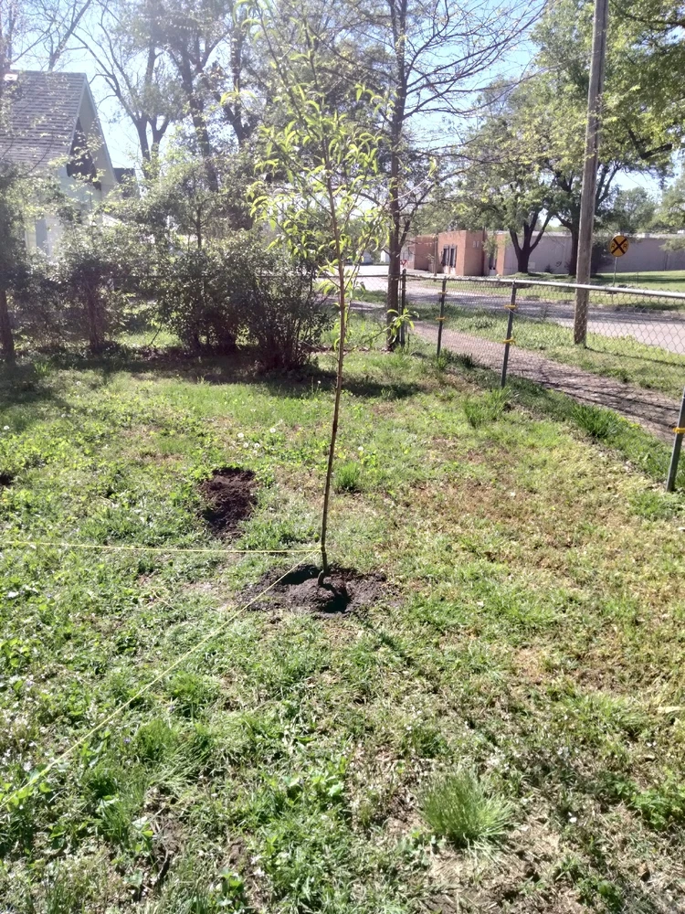 GIF uploaded by Randy