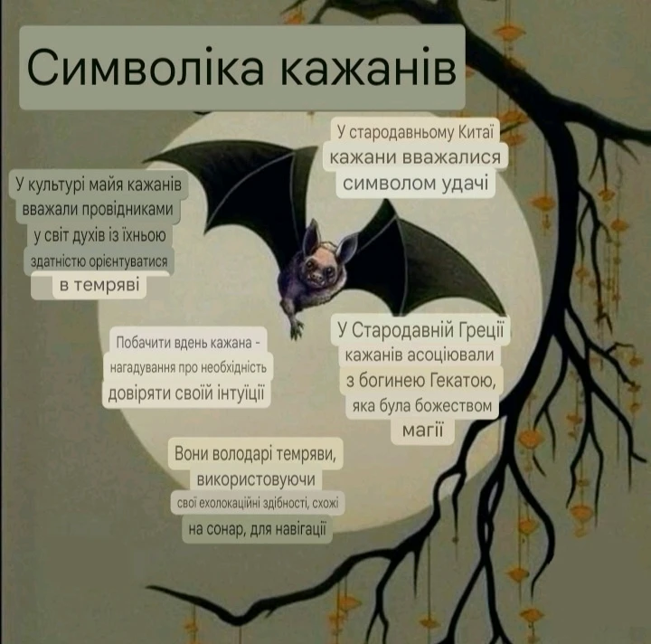 Зображення завантажив Natalia🦇
