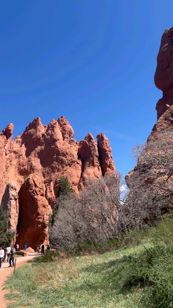 Image uploaded by Sean