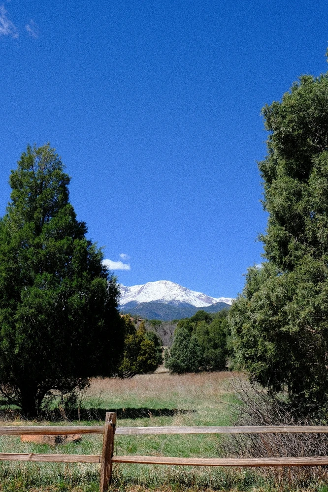 Image uploaded by Sean