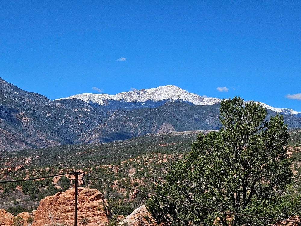 Image uploaded by Sean