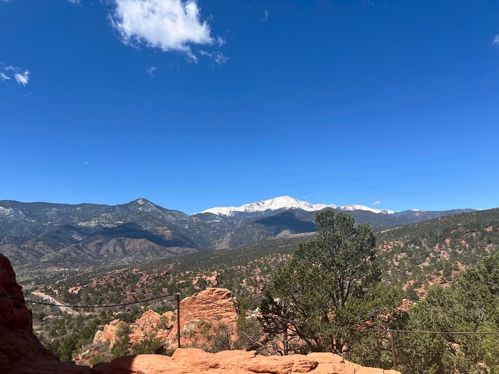 Image uploaded by Sean