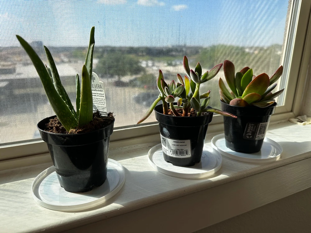 GIF diunggah dening Francisco