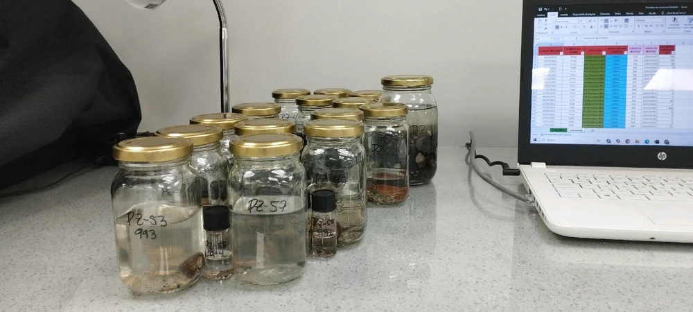 GIF subido por Thalel B.