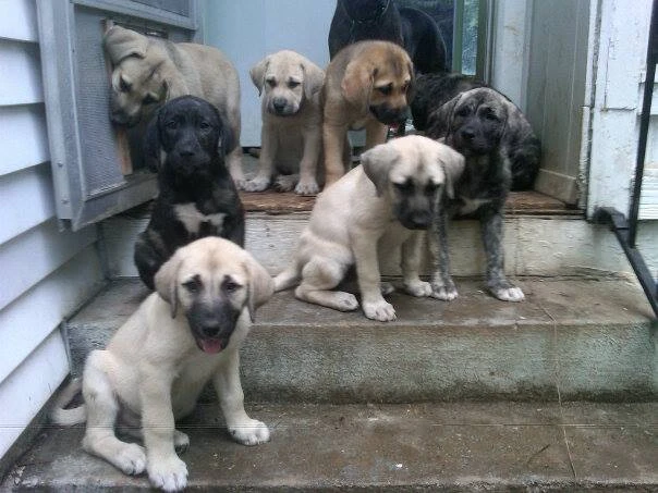 Image uploaded by Wrangler