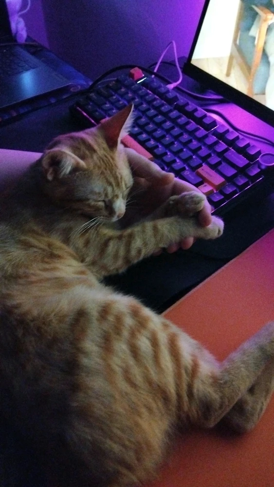 Efe tarafından yüklenen GIF