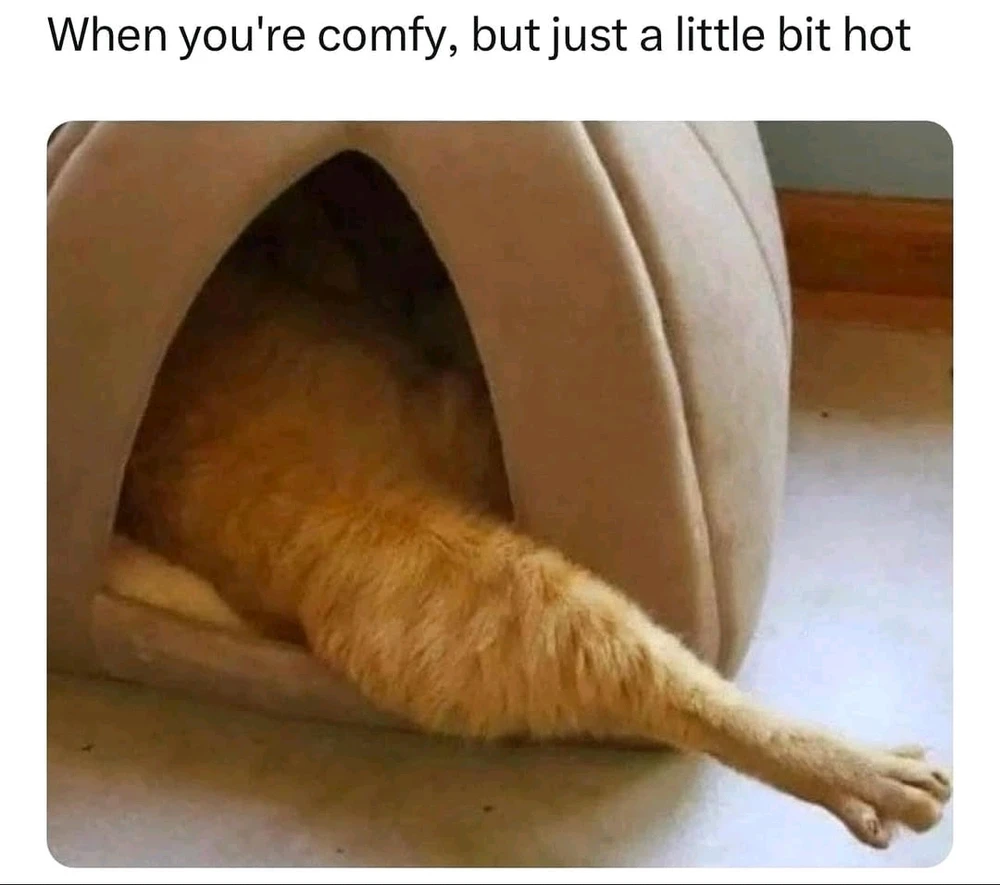 GIF hochgeladen von Alexander