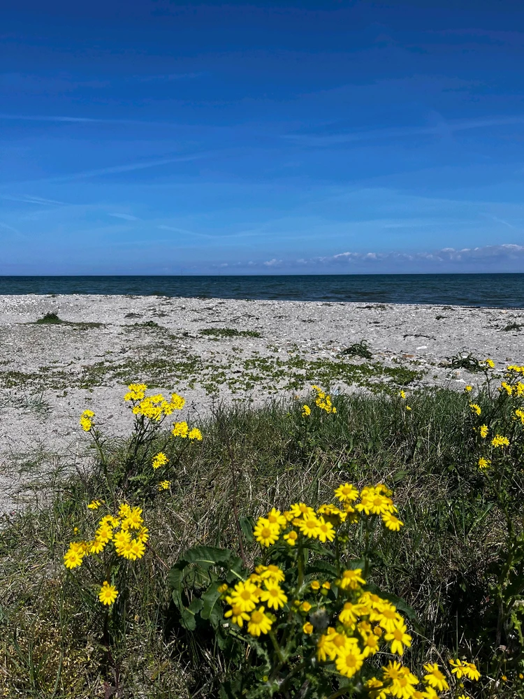 Denmark, peaceful and beauty