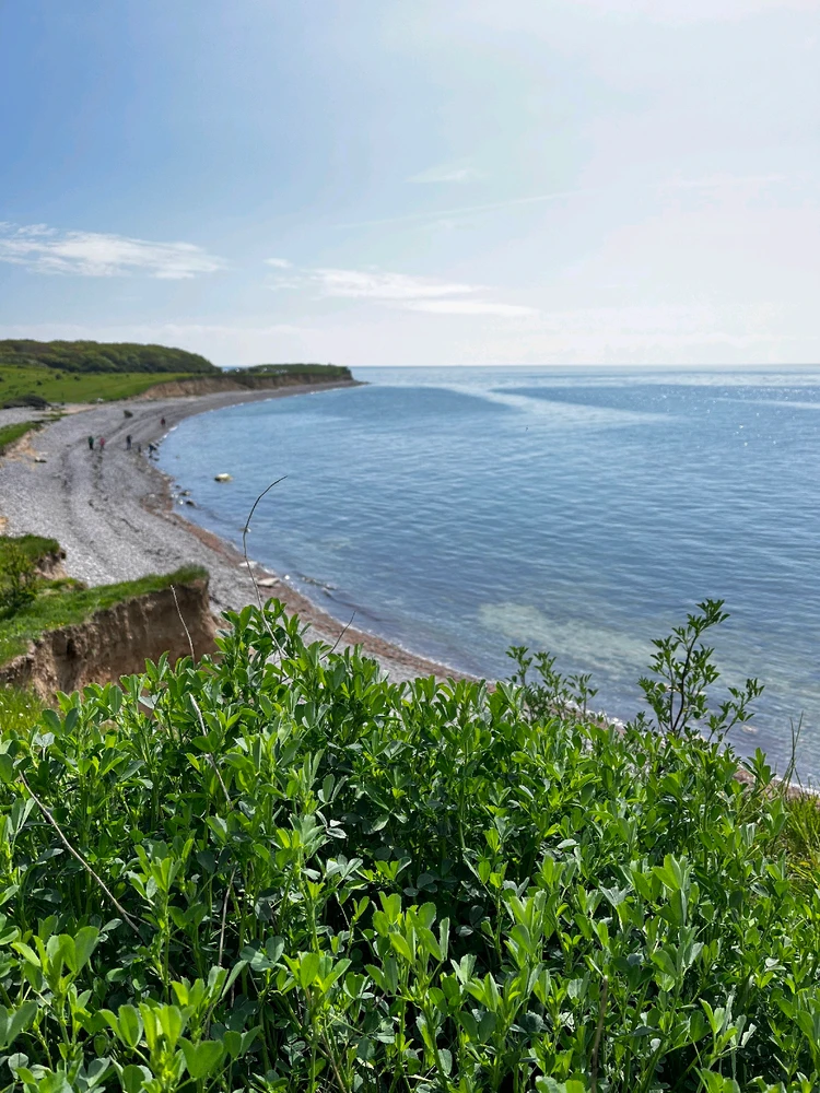 Denmark, peaceful and beauty