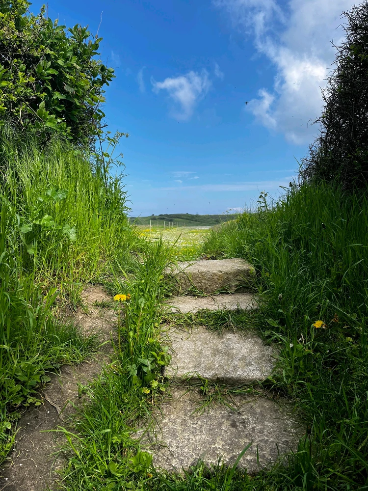 Denmark, peaceful and beauty