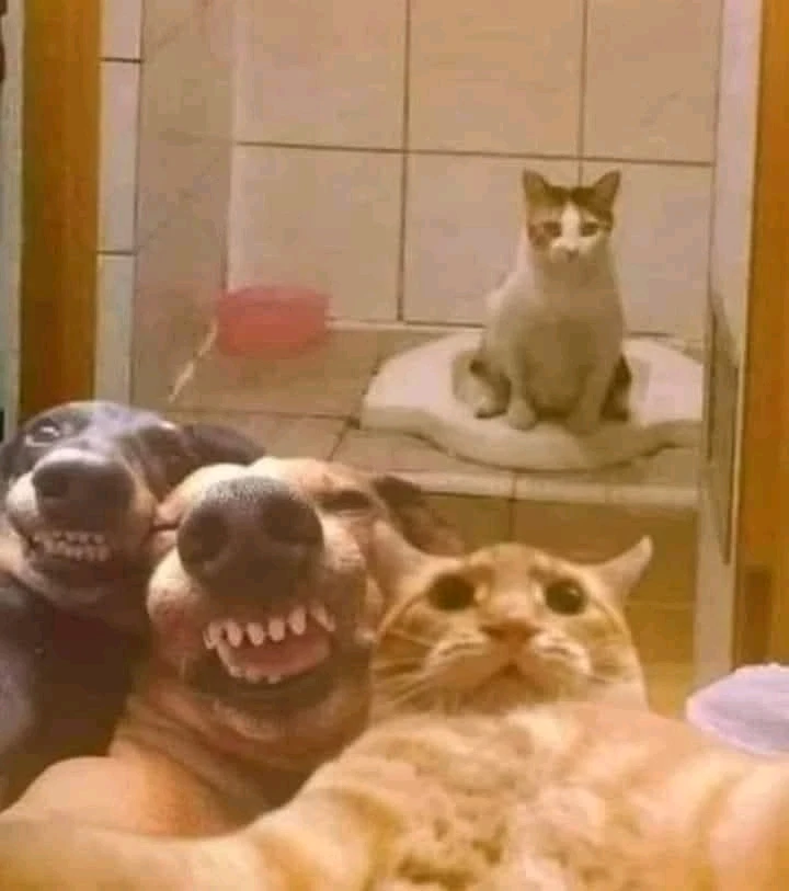 GIF uploaded by Snigdha 🧿