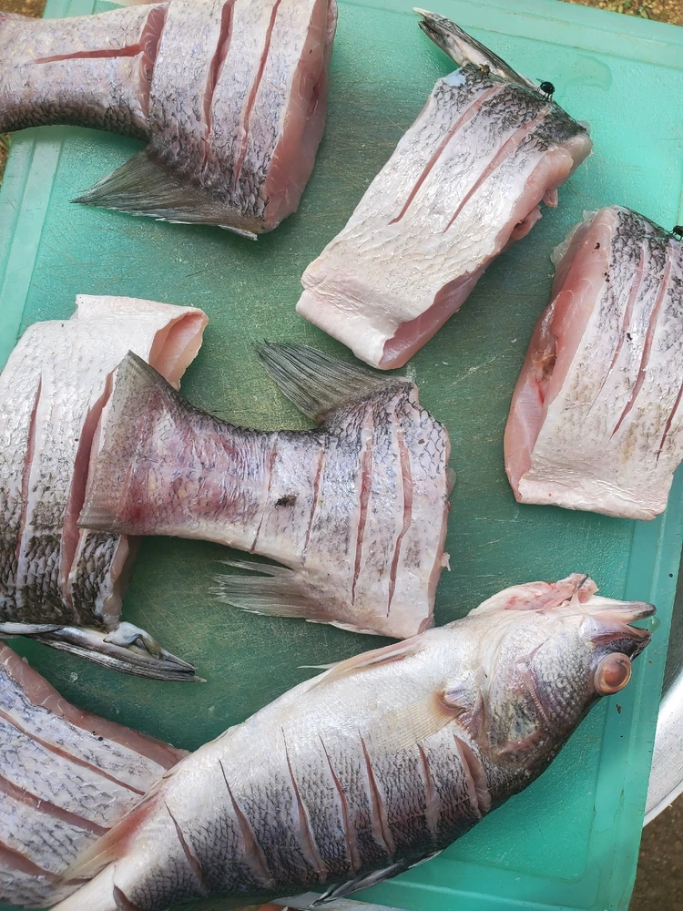 The beauty of Africa is here...kenya will always be the best place for tourists..come and enjoy some see food with me