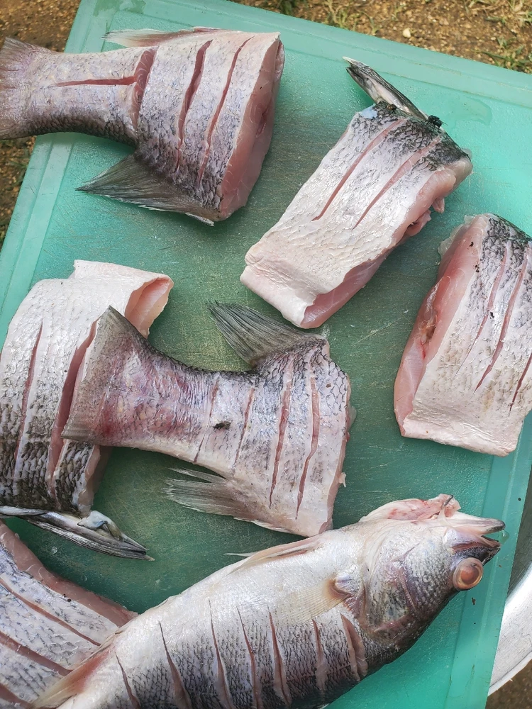 The beauty of Africa is here...kenya will always be the best place for tourists..come and enjoy some see food with me