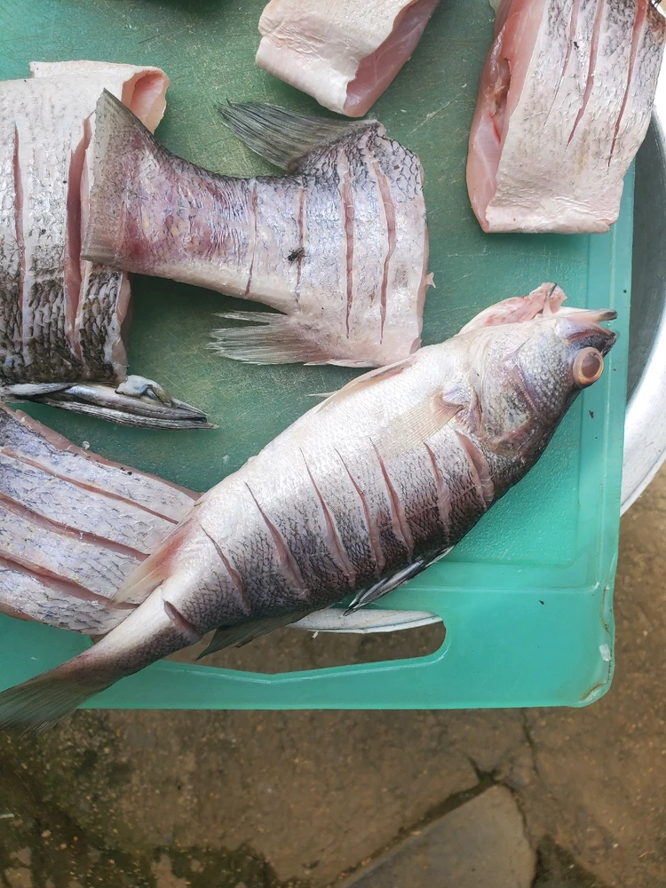 The beauty of Africa is here...kenya will always be the best place for tourists..come and enjoy some see food with me