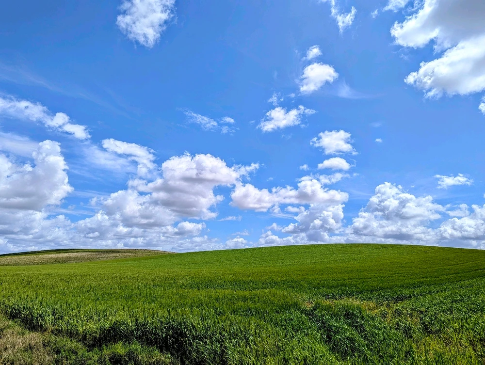 GIF caricata da Nicolò