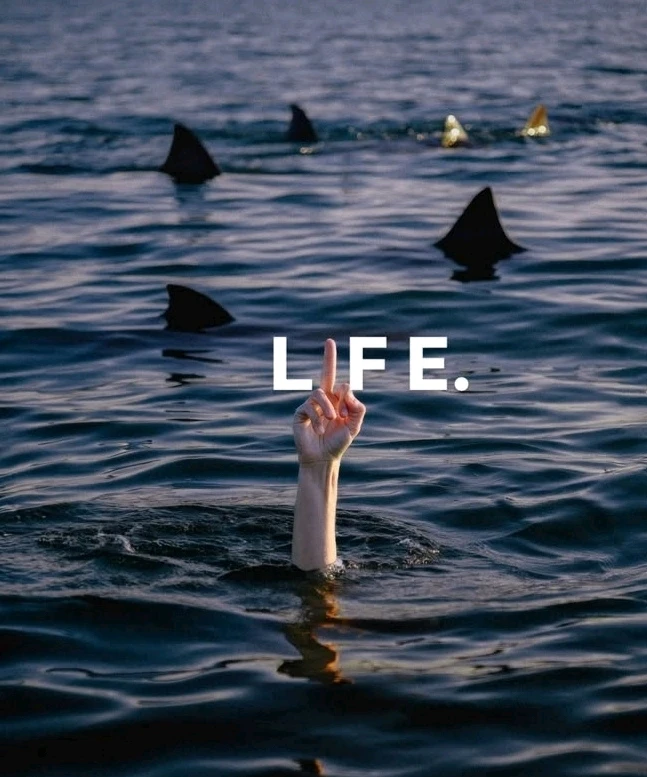 GIF uploaded by Haythem