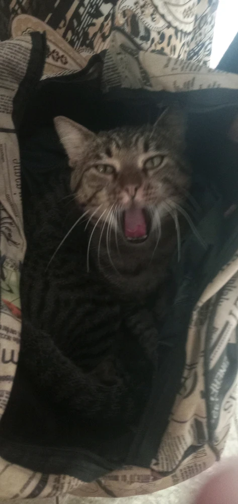 GIF uploaded by Monique