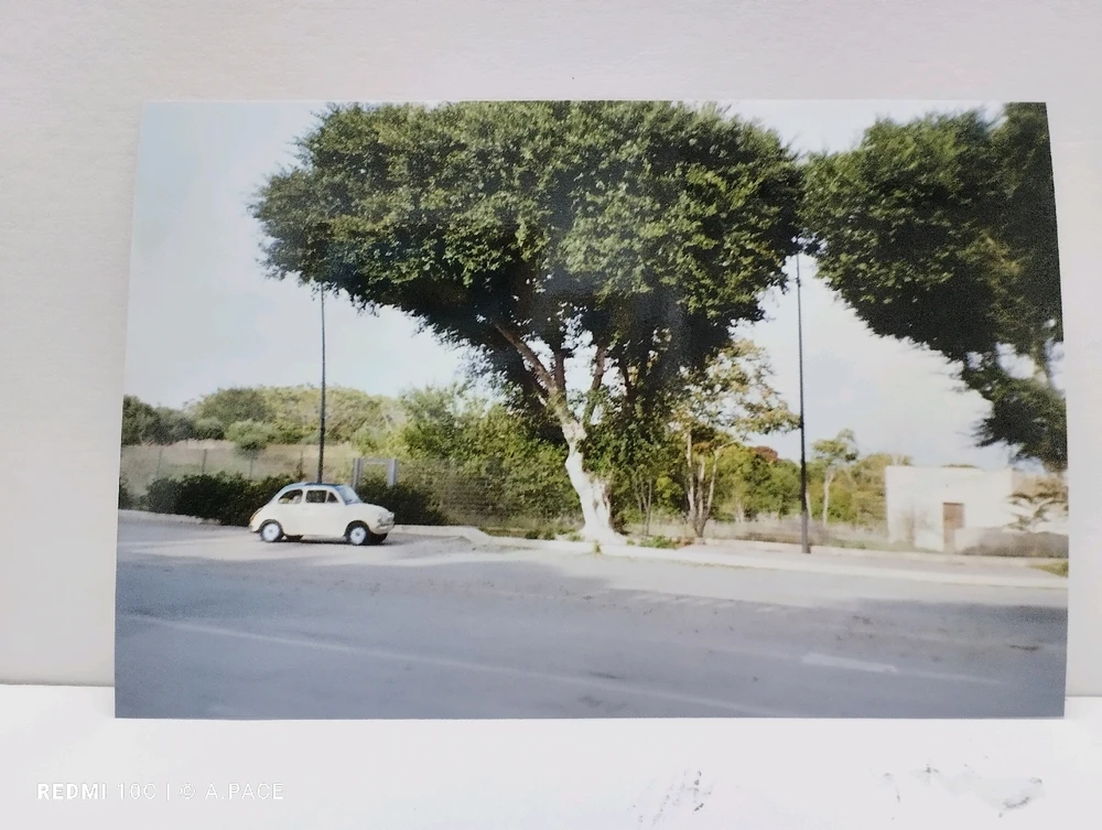 Immagine caricata da Alessandro | alpacigno