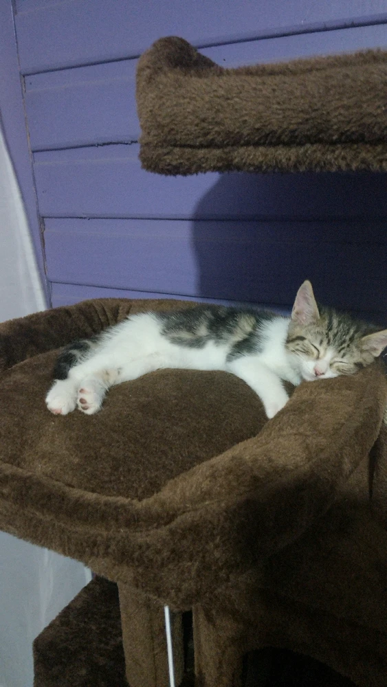 GIF subido por Sergio